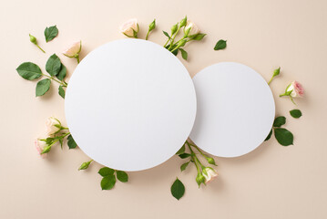 A calming pastel beige backdrop provides the perfect canvas for this top view shot of lovely...