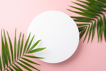 Above top view photo of empty white circle for advertising or branding surrounded with green palm leaves isolated on pastel pink background