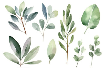 Obraz premium Watercolor floral bouquet branches with green blush leaves, for wedding invitations, greetings, wallpapers, fashion, prints. Eucalyptus, olive green leaves.