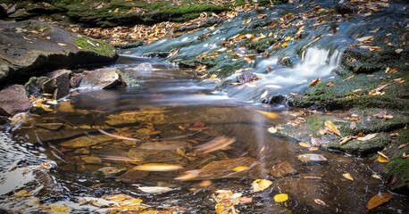 Water flowing through mossy rocks