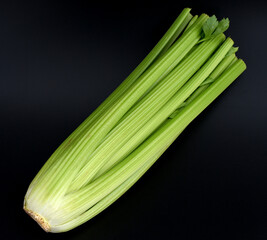 Celery, Apium, graveolens