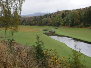 Talsperre Königshütte, Wassermangel, trocken, Harz, Sachsen-Anhalt, Deutschland, Europa