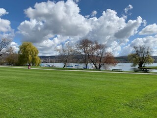 Obraz premium Stadt Zürich - Park Mythenquai - Wiese und Bäume am Ufer vom See / Zürichsee - Schweiz