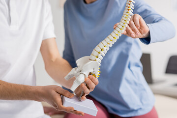 partial view of woman touching spine model near physiotherapist in consulting room.