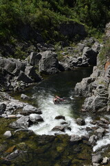 naturaleza 
paisajes
caballos
agua
rio
plantas
verde
animales en cautiverio
gallo
gallina
puma
llama
isla
lago
playa
piedras
cascada
potrillo