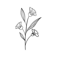 illustration of a flower