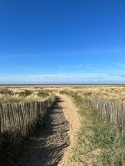 Obraz premium Pathway between the sand dunes leading onto the beach with a blue sky background. Taken in Lytham Lancashire England. 