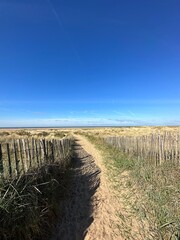 Obraz premium Pathway between the sand dunes leading onto the beach with a blue sky background. Taken in Lytham Lancashire England. 