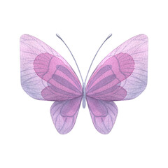 Purple butterfly. Hand-drawn watercolor illustration. Isolated object on a white background for decoration and design.