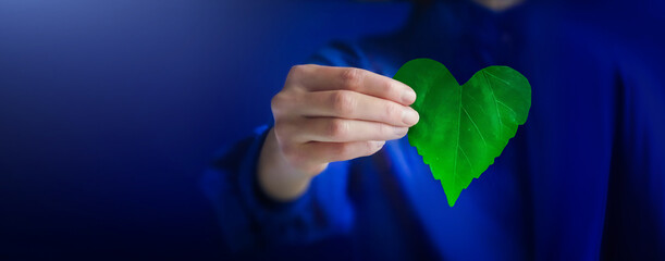 Businessman holding a green heart leaf Business with corporate social responsibility and...