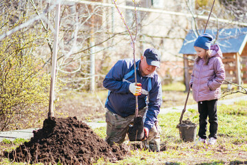 A father and his daughter are planting a fruit tree