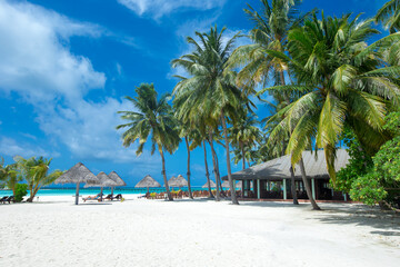 tropical Maldives island with white sandy beach and sea. palm