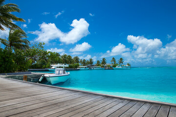 tropical Maldives island with white sandy beach and sea. palm