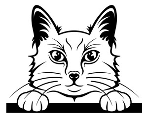 Peeping cat SVG, Cat face SVG, Cat head silhouette, Cat SVG, Kitten SVG, Kitty SVG, Cute cat SVG, Cat cut file