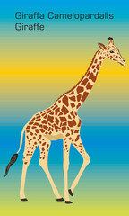 Abstract illustration of Giraffe - Illustration, 
Isolated Giraffe