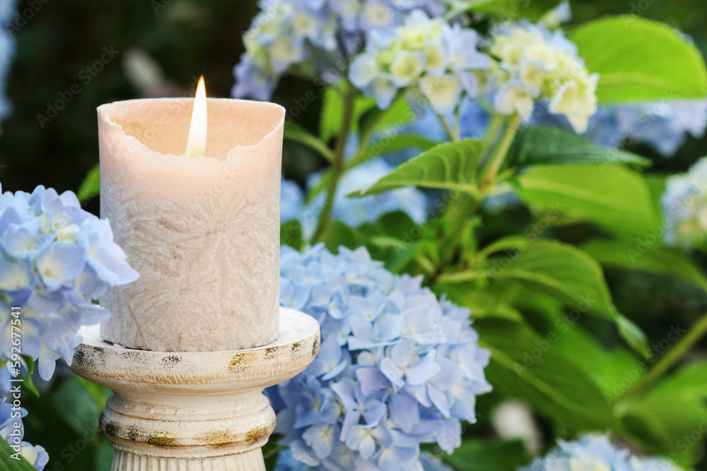 Poster A candle among beautiful blue hortensia flowers in the garden.