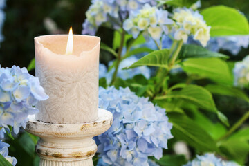 A candle among beautiful blue hortensia flowers in the garden.