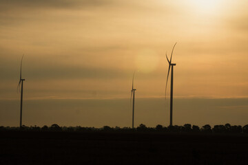 Wind turbines with rotor blades at top producing green energy at back sunset. Silhouette of windmills generating on farm