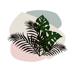 Neutral colored vector illustration with summer tropical exotic palm leaves. Soft color, pastel color, vintage.