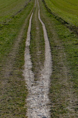 Fototapeta na wymiar Copenhagen, Denmark A path on a field divides into two paths in the Dyrehaven deer park.