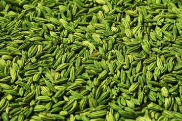 dried green fennel seeds or Saunf herb also known as variyali mukhvas in india isolated as texture background,top view - obrazy, fototapety, plakaty