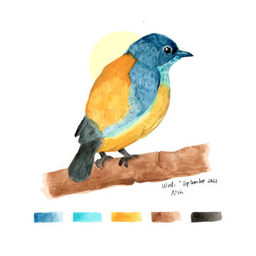 blue bird on a branch. Hand drawn watercolor illustration bird yellow blue. A bird standing on a branch. Colorful