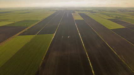 Żuławy Wiślane seen from the drone in the morning on a beautiful spring day.