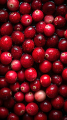 Fresh Cranberries background, adorned with glistening droplets of water, top down view.