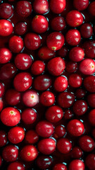 Fresh Cranberries background, adorned with glistening droplets of water, top down view.