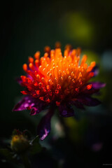 A Flower with a Vibrant Palette. generative ai