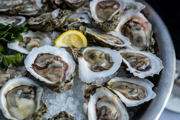 a close-up photo of Oysters on the half shell served on an outdoor Buffet with natural light.