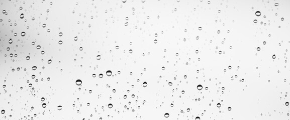 Minimal grayscale backdrop with rain droplets on white glass. Light wet window with rainy drops closeup in black-white. Blurry minimalist monochrome background of window glass with raindrops close up.