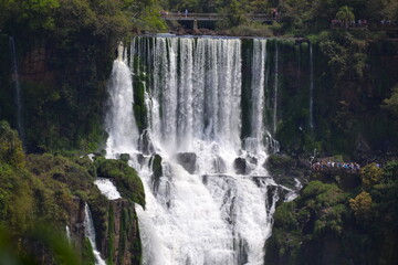 naturaleza