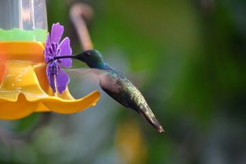 naturaleza © federico