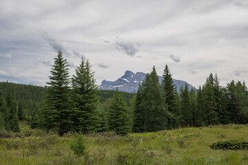 Landscape in the Rocky Mountains. amazing nature view - sharp stone mountain peaks, coniferous forest. Travel and tourism concept image, selective focus.