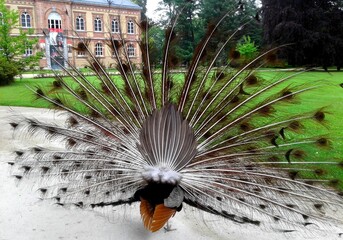 L'ENVERS DU DÉCOR...