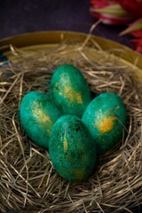 Closeup view of green eggs on an artificial nest