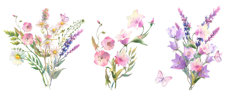 Set of fied flowers bouquet. Watercolor botanical illustration, wild flowers bouquet with purple bluebell, sage and chamomile and with butterflies, isolated on white background