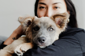 Photograph of woman playing with her little adopted dog. Concept of love for animals.