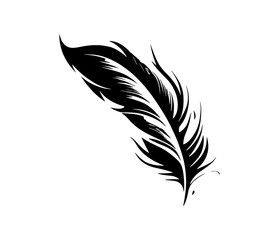 Fluffy Feather Silhouette, bird feathers simple style vector image.
