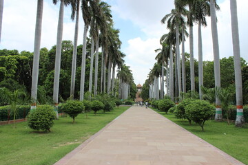 A Royal Road