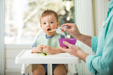 Father feeding his cute baby with first solid food, infant sitting in high chair. Child tasting vegetables at the table, discovering new food. Cozy kitchen interior. Healthy food concept. 