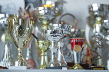 Golden and silver cup trophy collection for sport or business success. Victory and leadership concept.