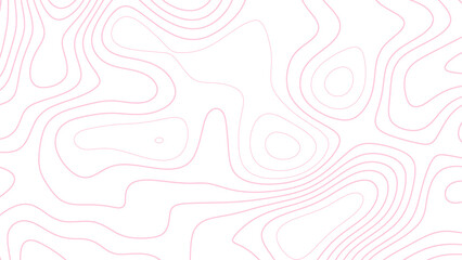 Topographic line contour map background, Pink color topography contour lines isolated on white background. Topographic map colorful abstract background with contour lines. 