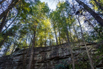 Obed Wild and Scenic River, Tennessee. National Park Service and Tennessee Wildlife Resources...