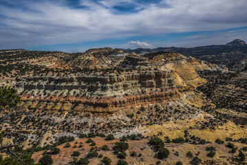 Western States Desert 