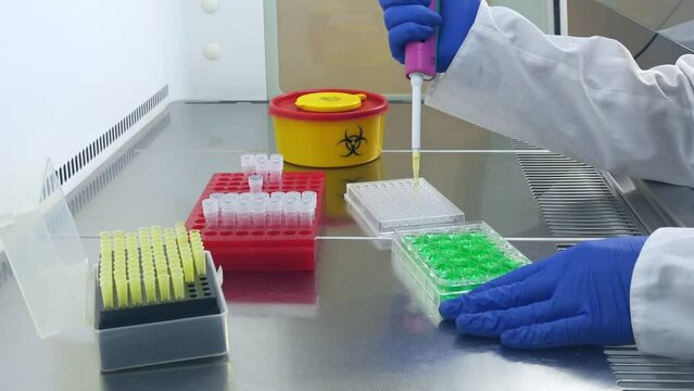The scientist works with a green liquid in the laboratory, doses the liquid with a pipette between laboratory tablets, laboratory research in sterile conditions.