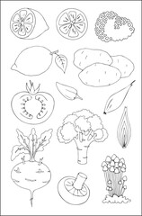 Set of different vegetables outlined in black and white, contours of different forms of vegetables, silhouettes of veggies.