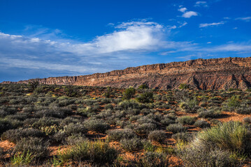Western States Desert 