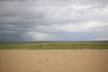 Fototapeta na wymiar nature desert plain storm